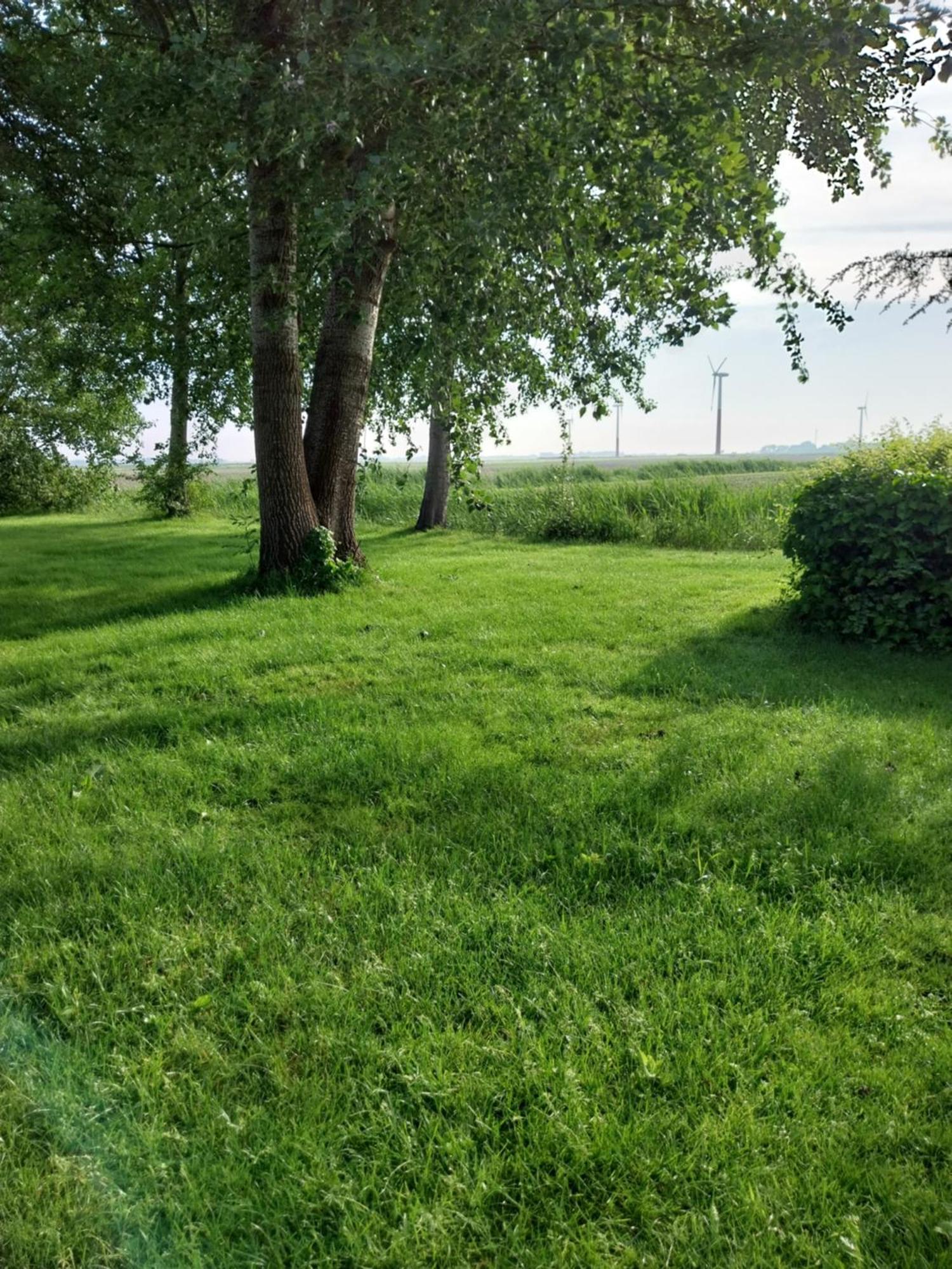 Wad Fijn Villa Sexbierum Exterior foto